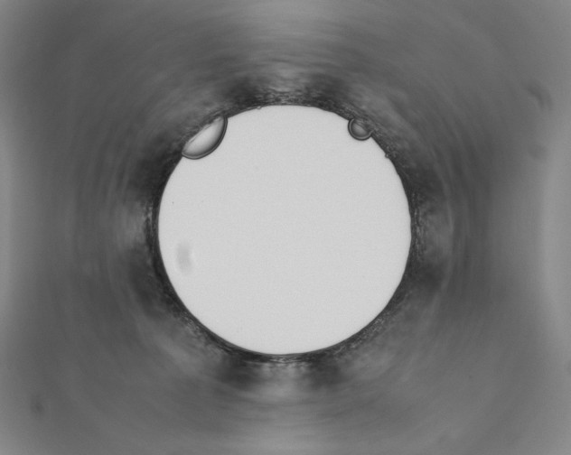 X0000111430225200908241128