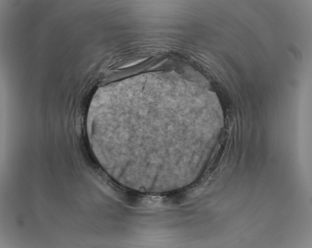 X0000111430227200908241128
