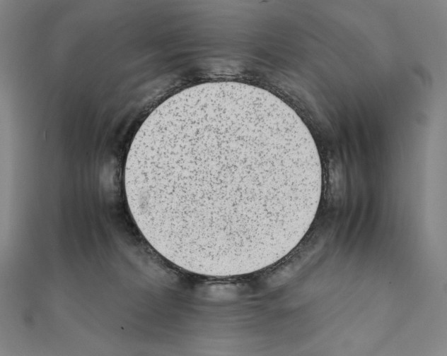 X0000111430228200908241128