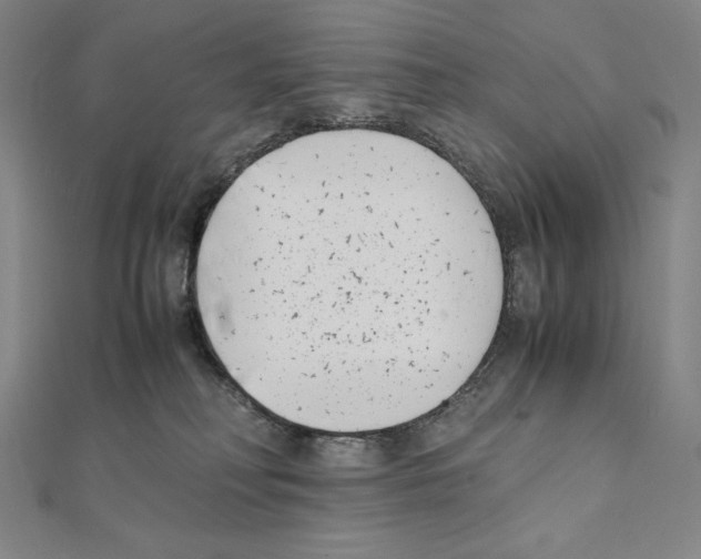 X0000111430230200908241128