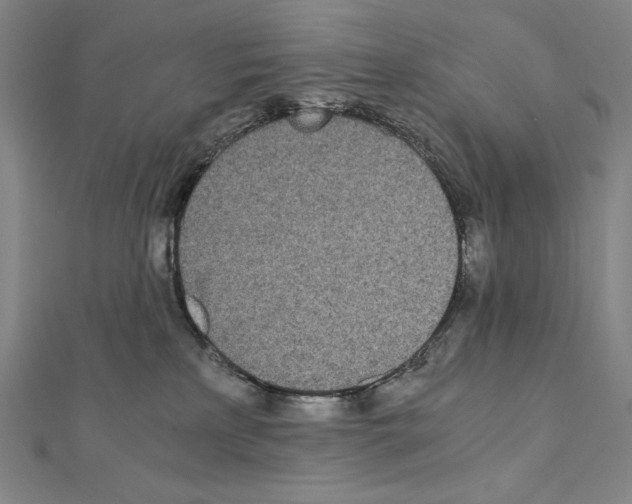 X0000111430233200908241128