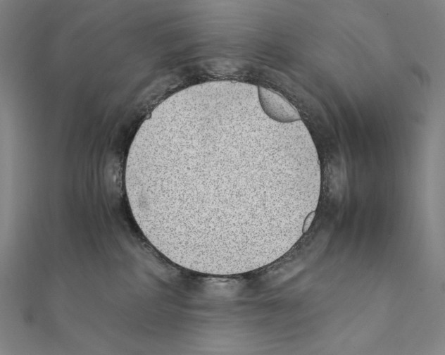 X0000111430234200908241128