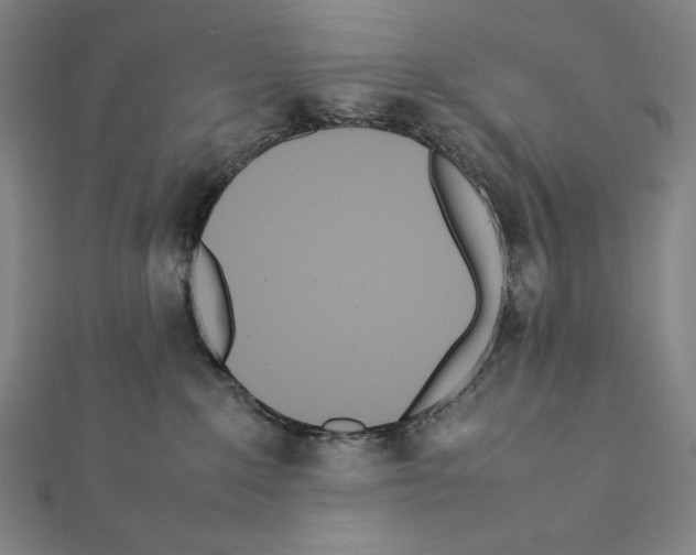 X0000111430235200908241128
