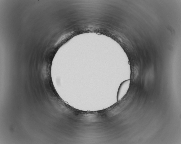 X0000111430236200908241128