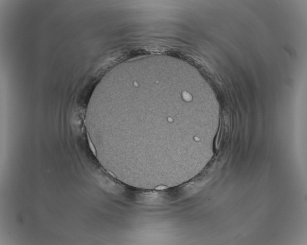X0000111430237200908241128