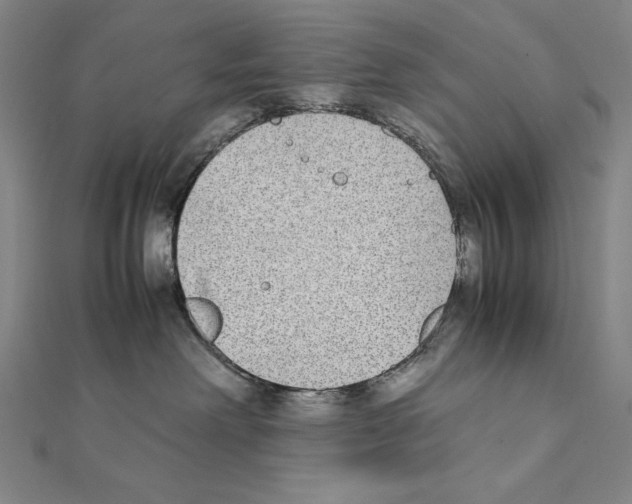 X0000111430238200908241128