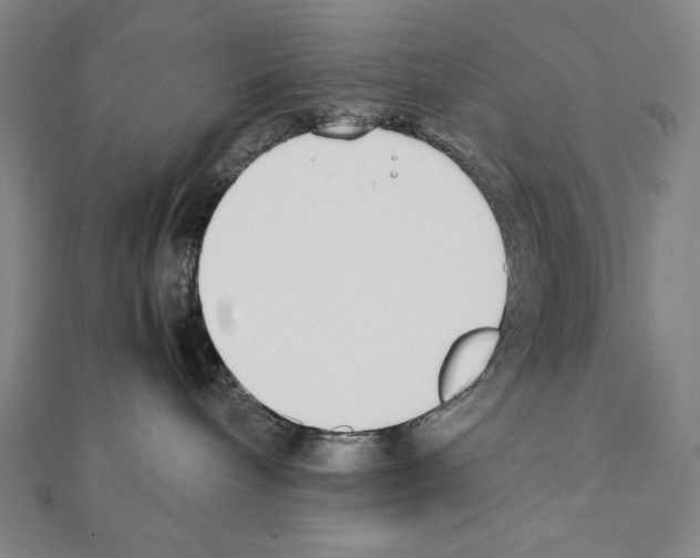 X0000111430240200908241128