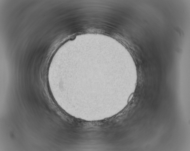 X0000111430241200908241127