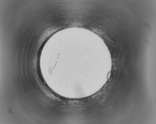 X0000111430242200908241127