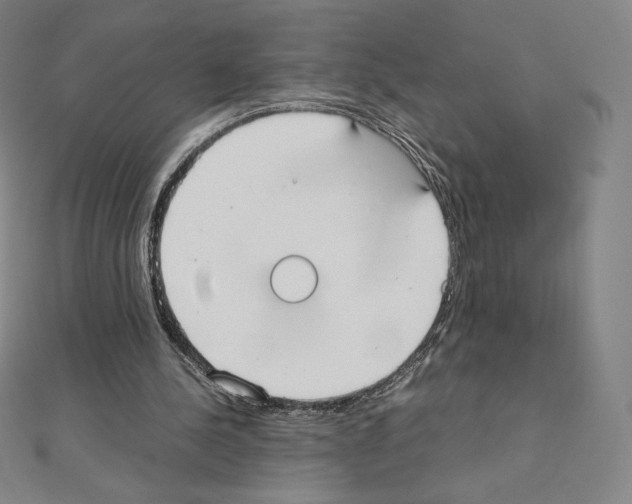 X0000111430244200908241127