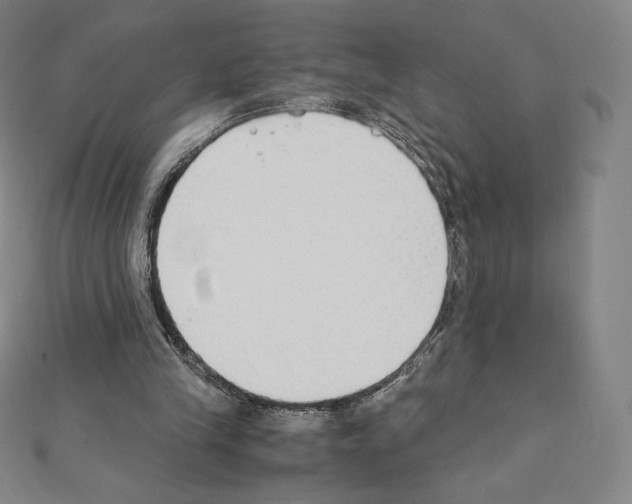 X0000111430245200908241127
