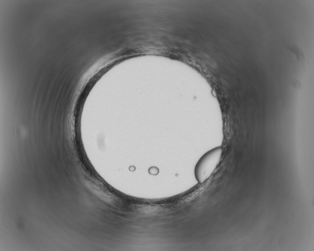 X0000111430246200908241127
