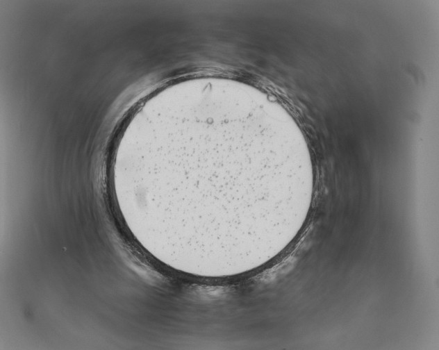 X0000111430247200908241127