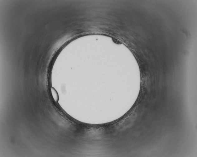 X0000111430248200908241128