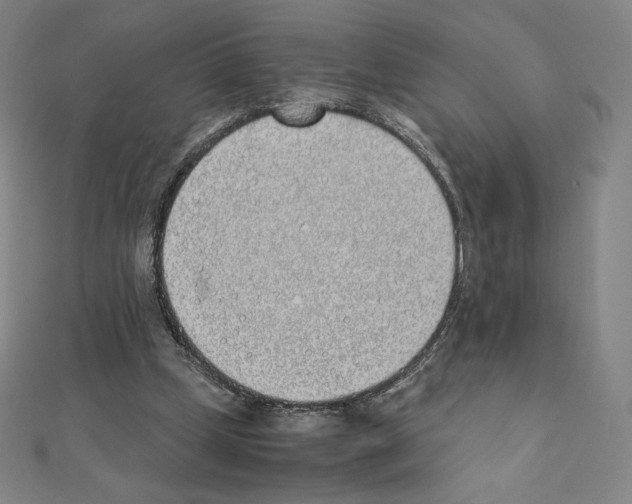 X0000111430249200908241128