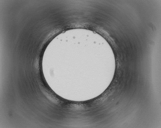 X0000111430250200908241128