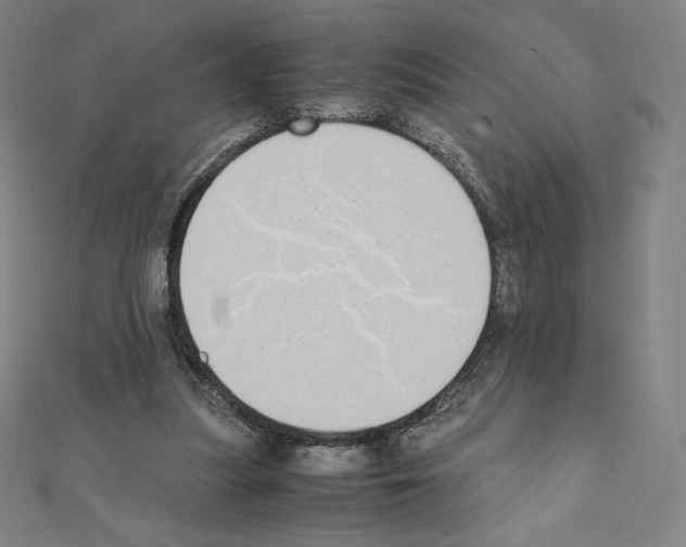X0000111430251200908241128