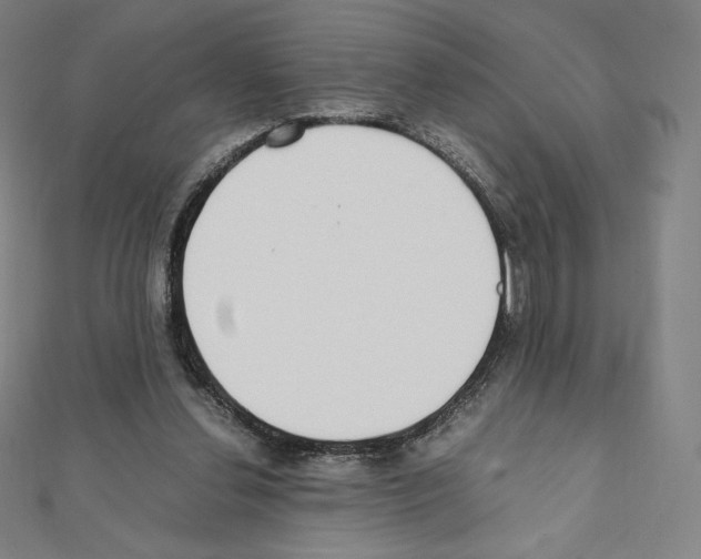 X0000111430252200908241128