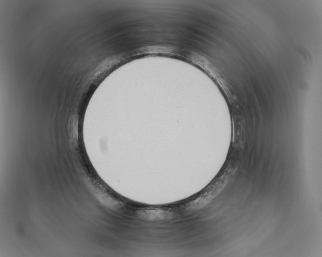 X0000111430253200908241128