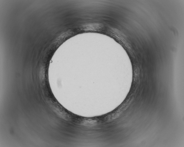 X0000111430257200908241128