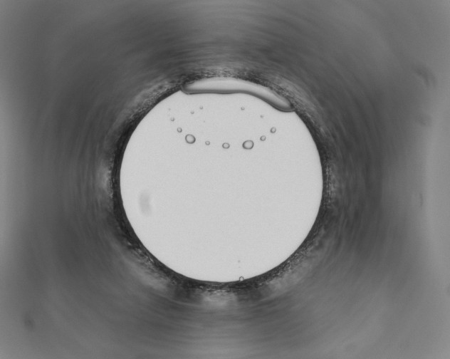 X0000111430258200908241128