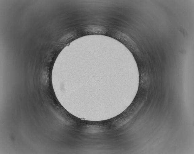 X0000111430259200908241128