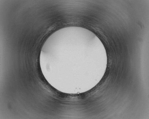 X0000111430260200908241128