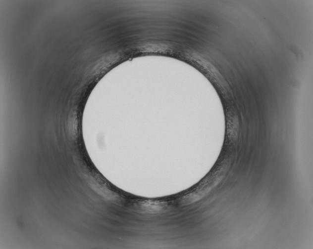 X0000111430261200908241128