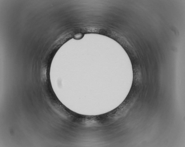 X0000111430262200908241128