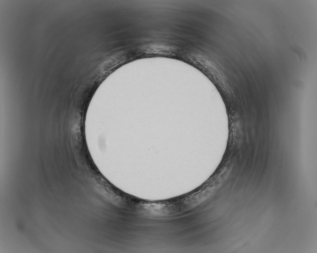 X0000111430265200908241128