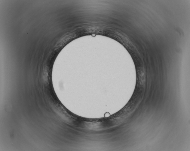 X0000111430266200908241128
