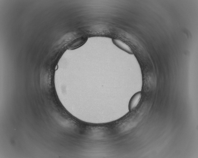 X0000111430268200908241128