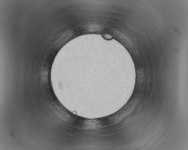 X0000111430269200908241128
