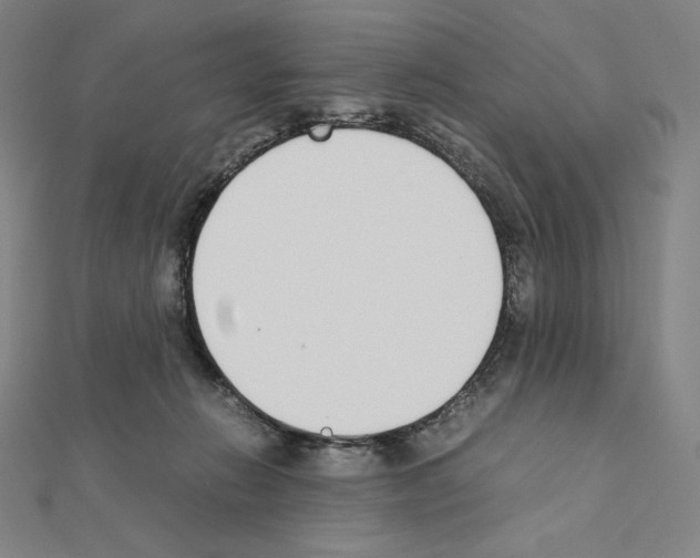 X0000111430270200908241128