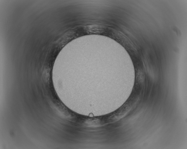 X0000111430271200908241128