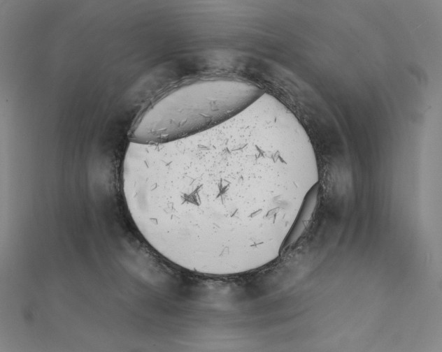X0000111430272200908241128