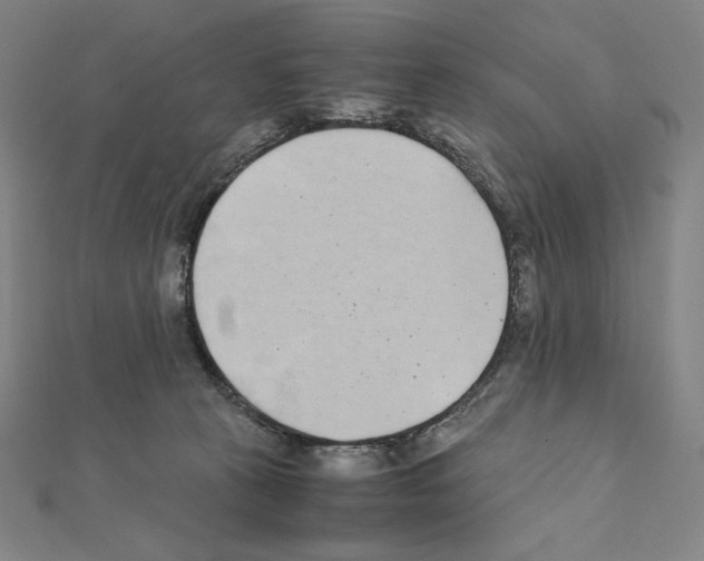 X0000111430273200908241128