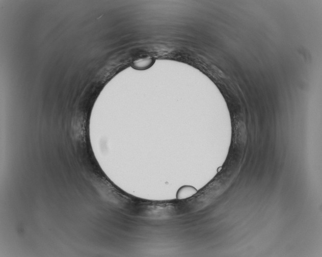 X0000111430274200908241128