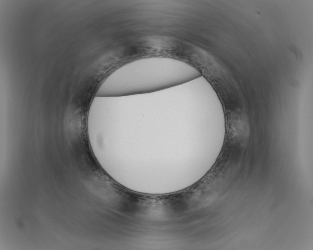 X0000111430276200908241128