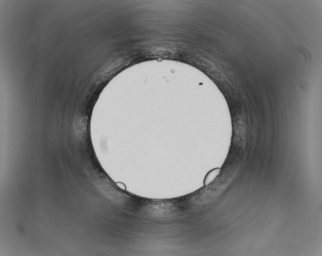 X0000111430278200908241128
