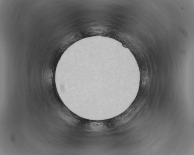 X0000111430279200908241128