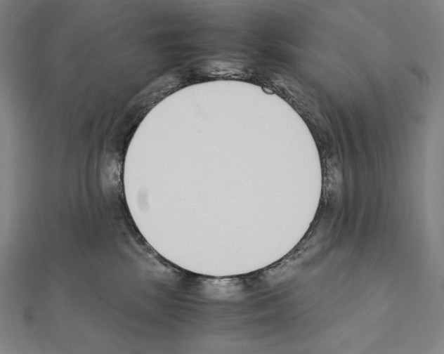X0000111430281200908241128