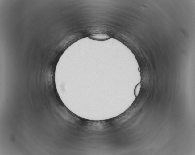 X0000111430282200908241128