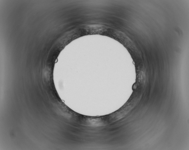 X0000111430283200908241128
