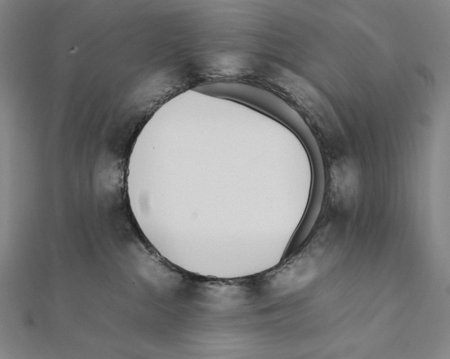 X0000111430284200908241128
