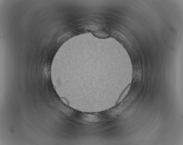 X0000111430285200908241128