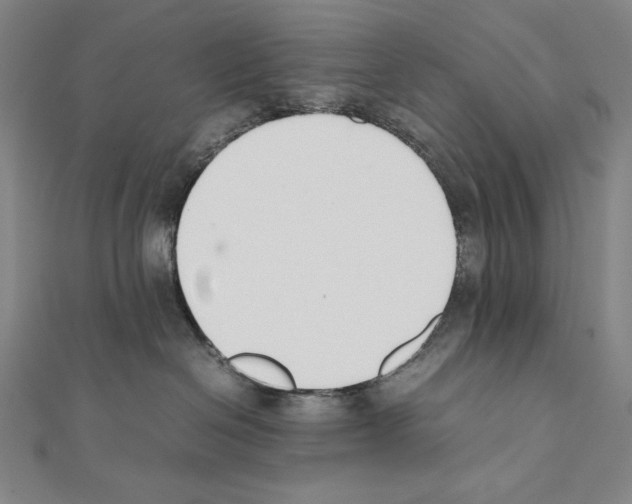 X0000111430286200908241128