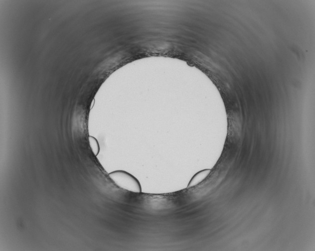 X0000111430287200908241128