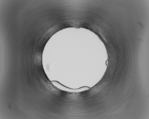 X0000111430288200908241128