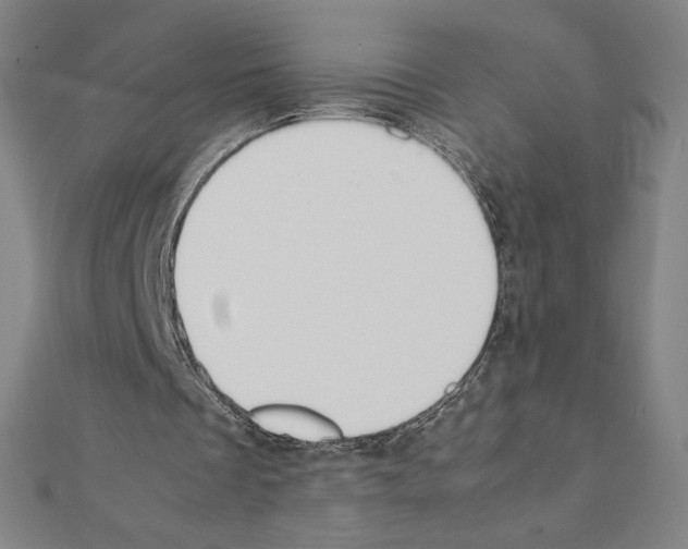 X0000111430289200908241127